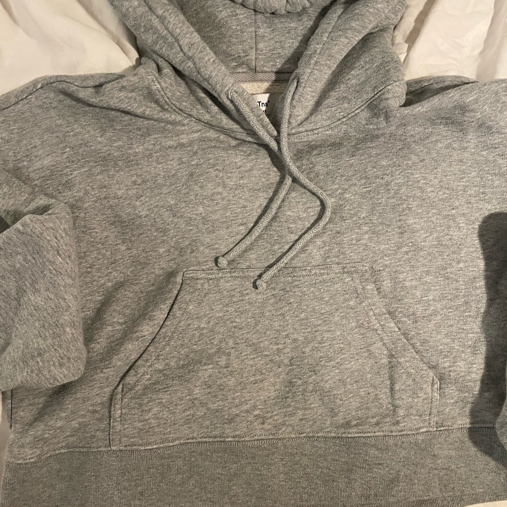 Aritzia TNA cropped hoodie in Grey XS